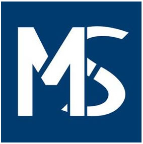 ms logo