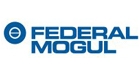 Federal Mogul