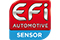 EFI-Sensor